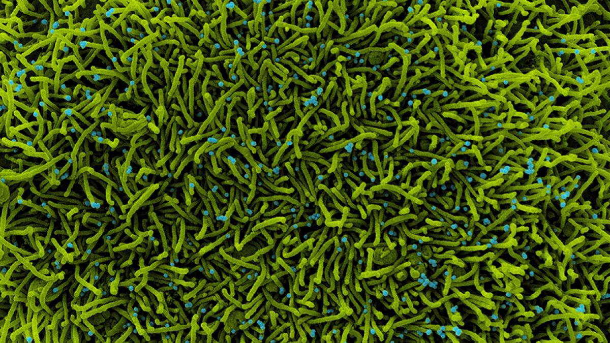 50932003378_f5fb09e3bc_4k_30735200