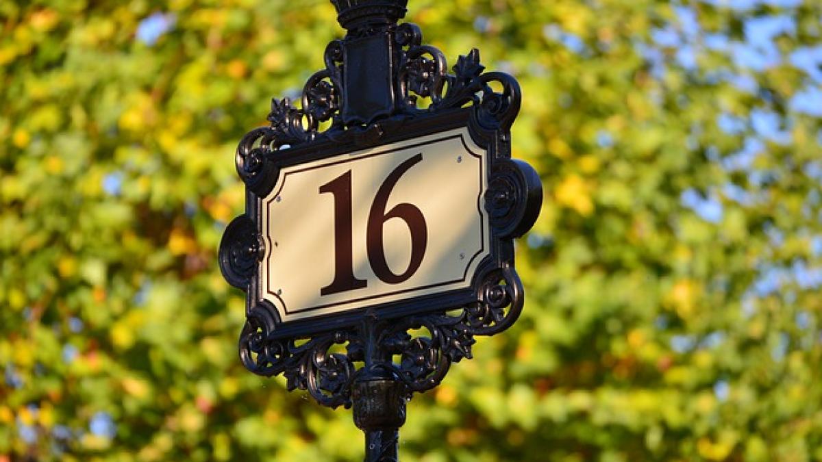 sixteen-4677399_640_73248900