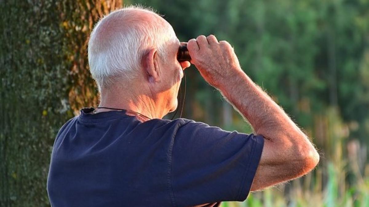 senior-2642041_640_40147700