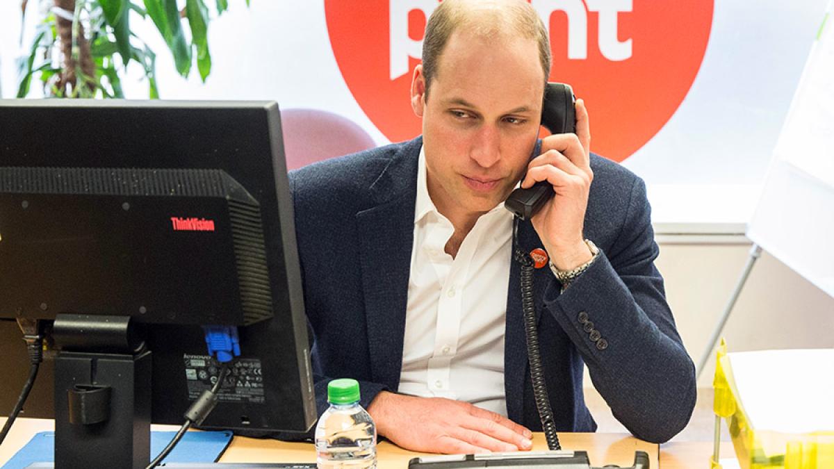 peintul-william_36564400