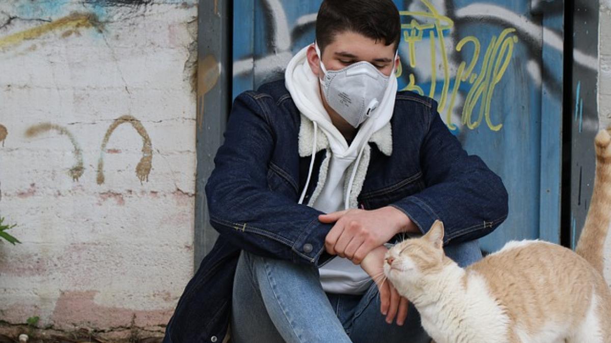 coronavirus-4959669_640_59639400