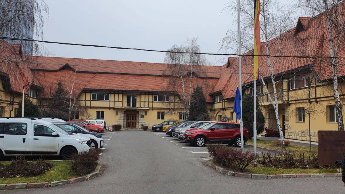 152731025_264741818350484_6944103678087957558_o_93879200