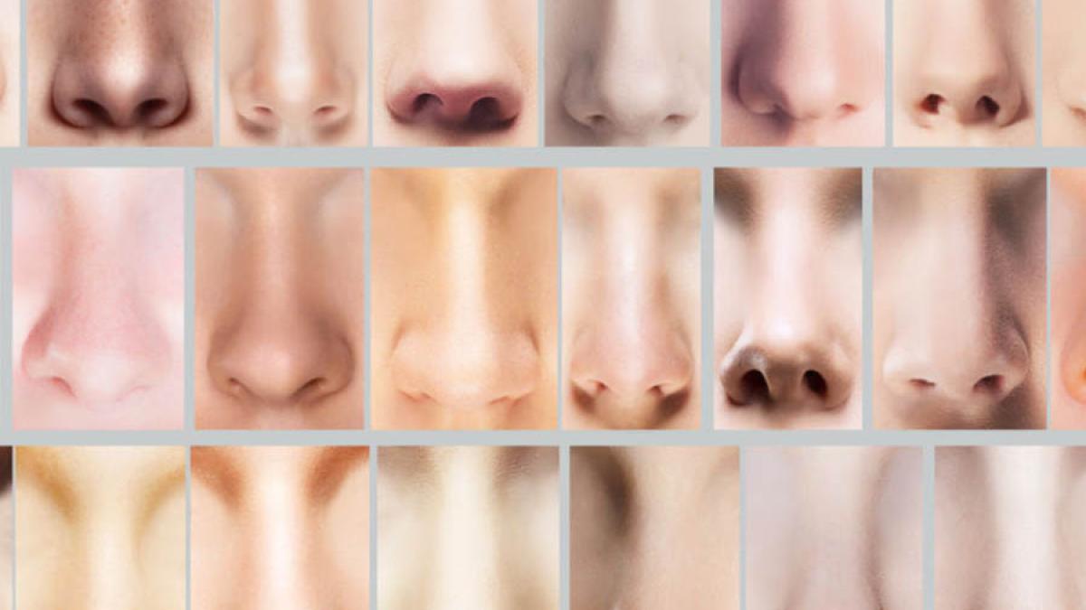 noses_ap66755084-1024x576_62463400