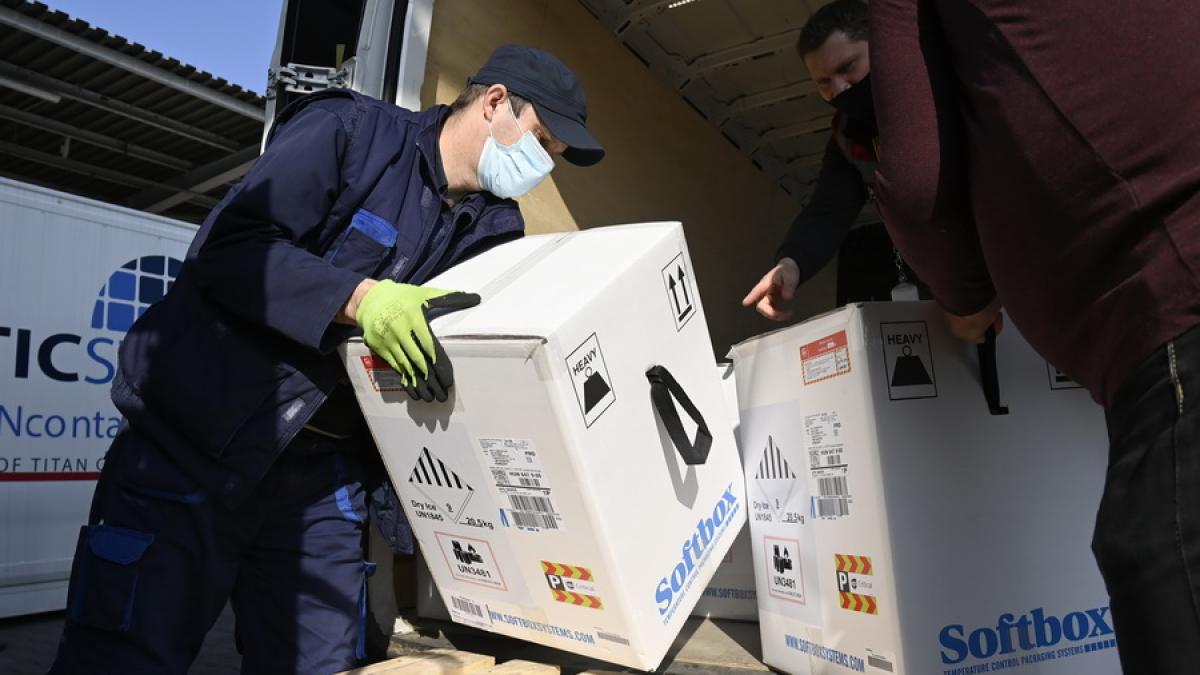 vaccinuri_1_21420600