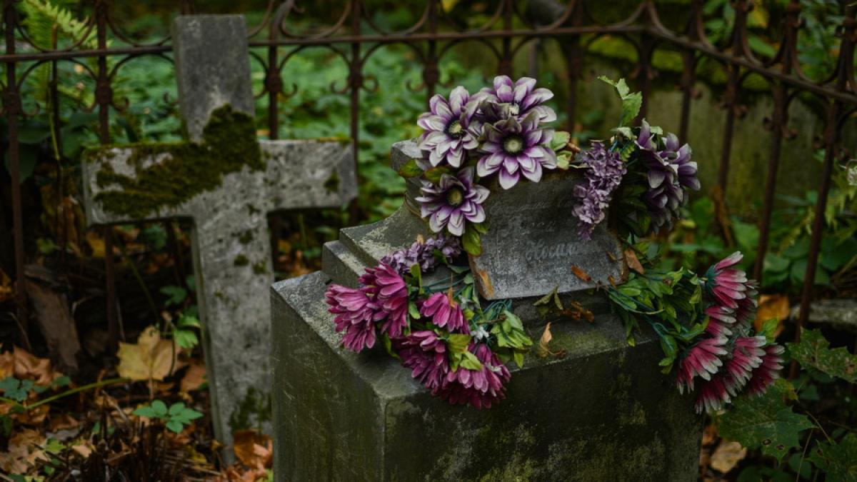 mormant_resize_24890400