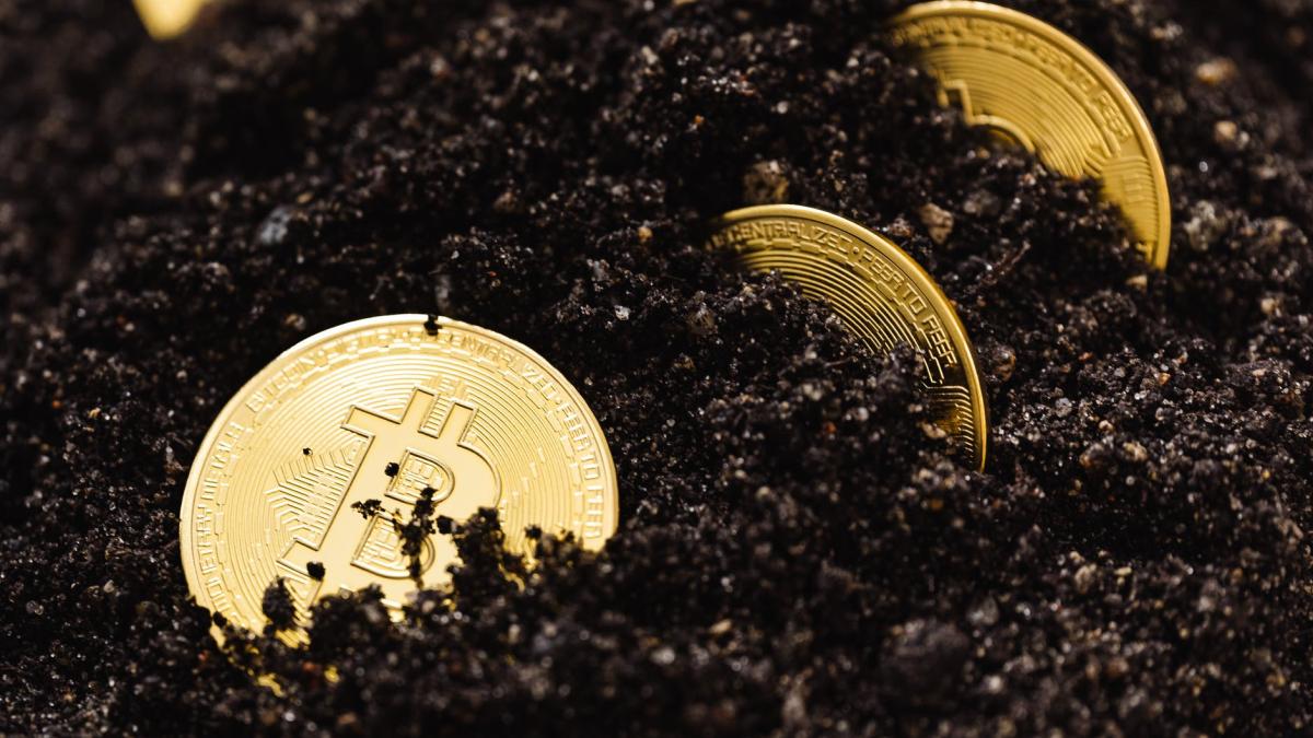 pexels-photo-5980928_71316400