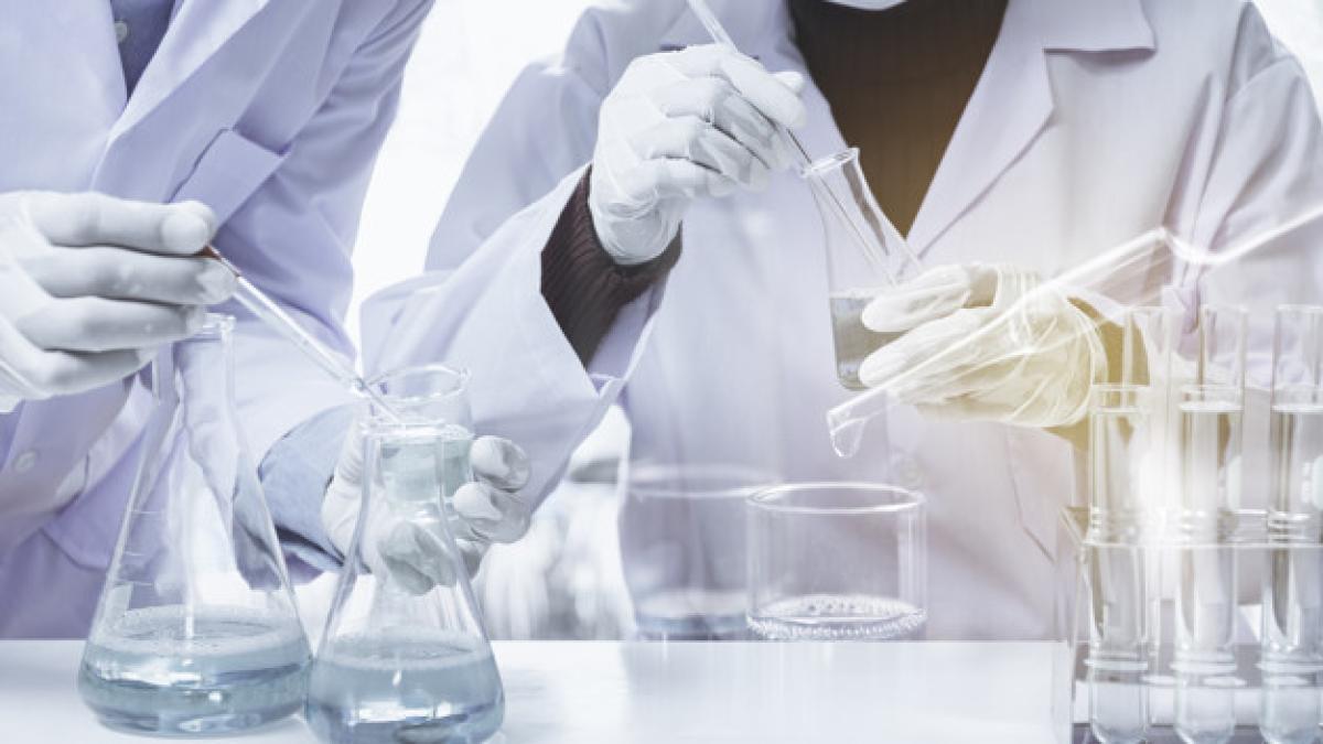 laborator11_59963800