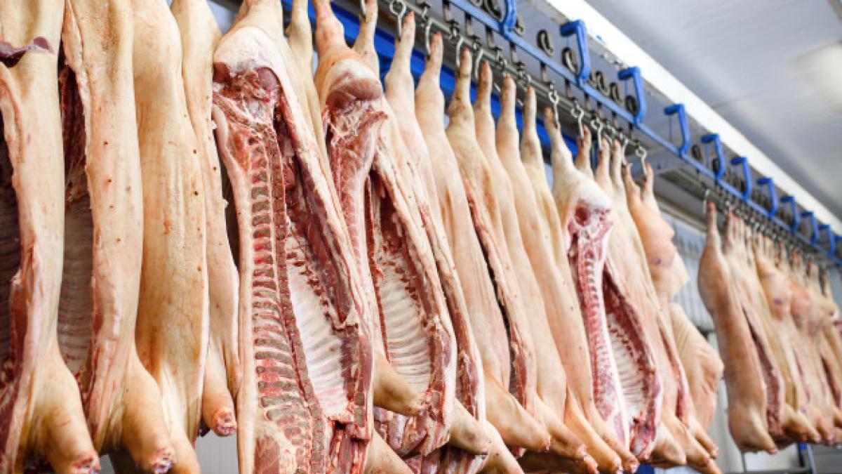 carne_de_porc_carcasa_03230100