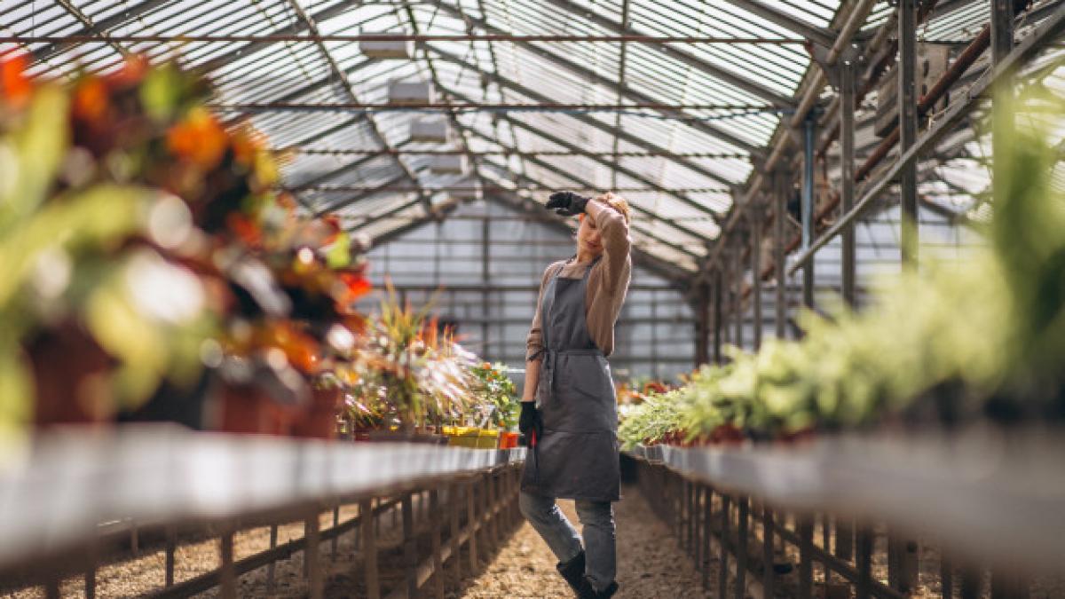 woman-gardner-greenhouse_1303-14060_04629900