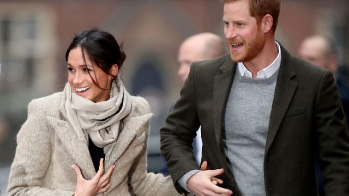 49420423417_fa156f91a3_z_54202300