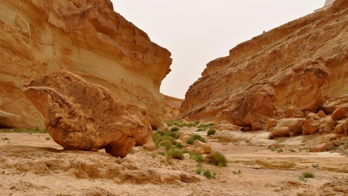 star-wars-canyon_29138700