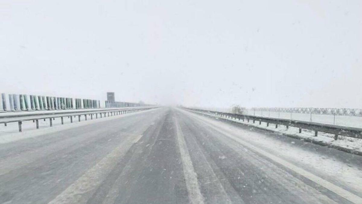 138474814_752468045678026_8747580302451900291_o_47801100