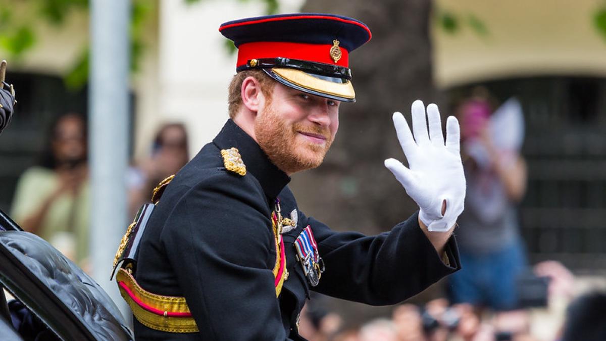 printul-harry_58353500