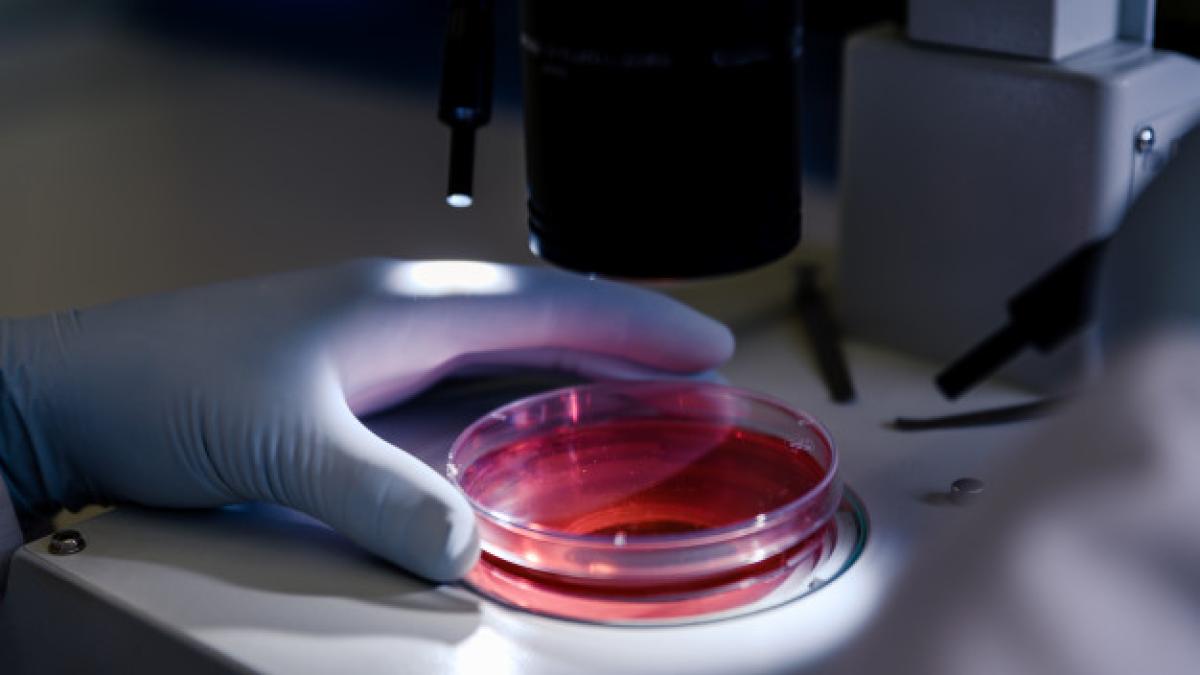 closeup-shot-person-studying-coronavirus-particles-with-microscope_181624-1142_86054600