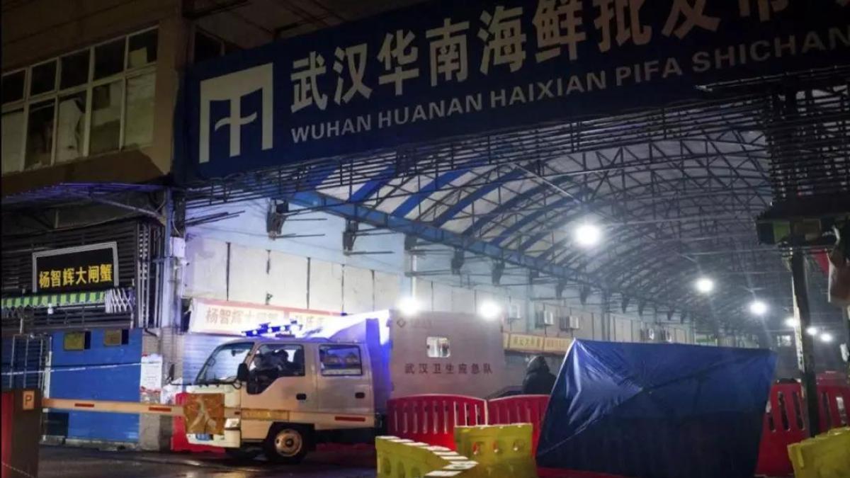 piaprc-c8prc-9ba_din_wuhan_82552400