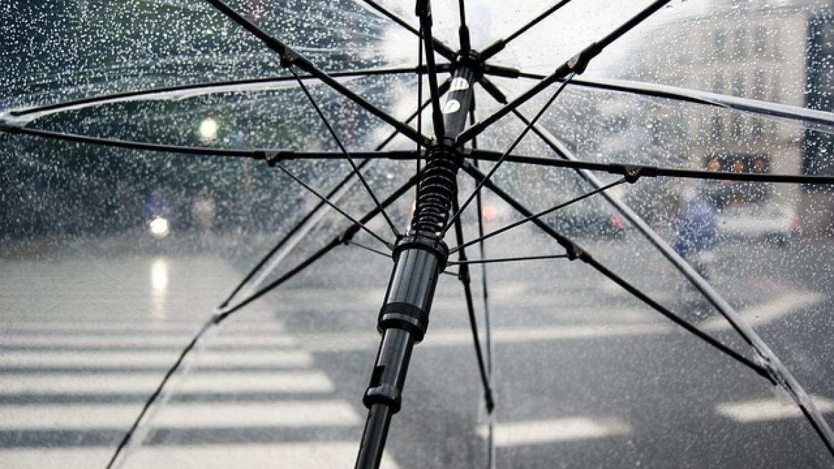 umbrella-4425160_640_81728100