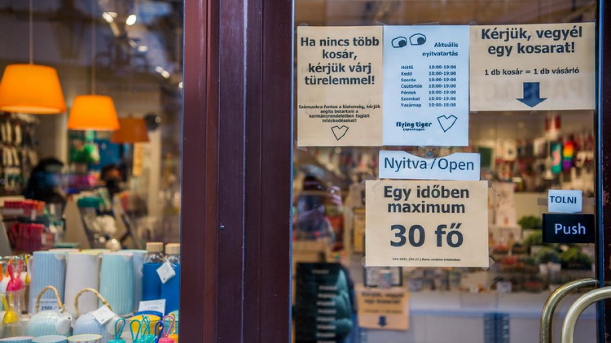 budapesta_1-2_resize_91122900