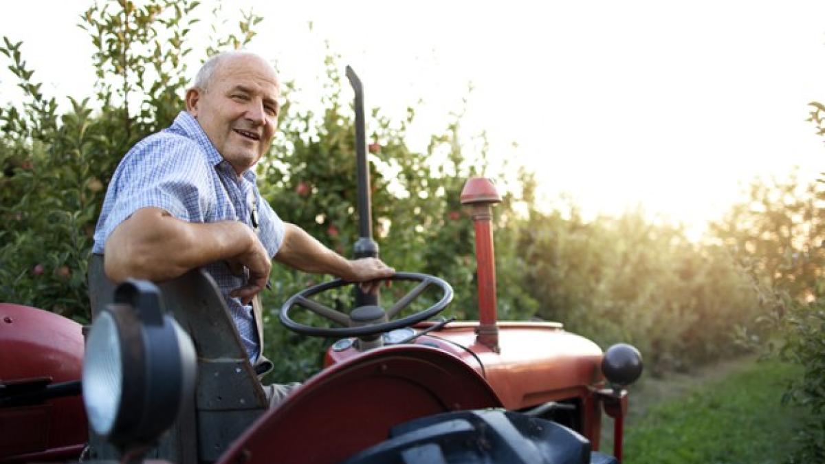 portrait-senior-man-farmer-driving-his-old-retro-styled-tractor-machine-through-apple-fruit-orchard-sunset_342744-1009_62442600