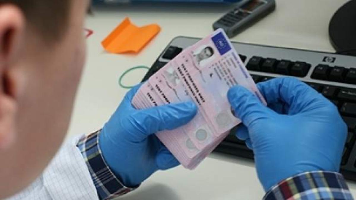 permis_de_conducere_69385000