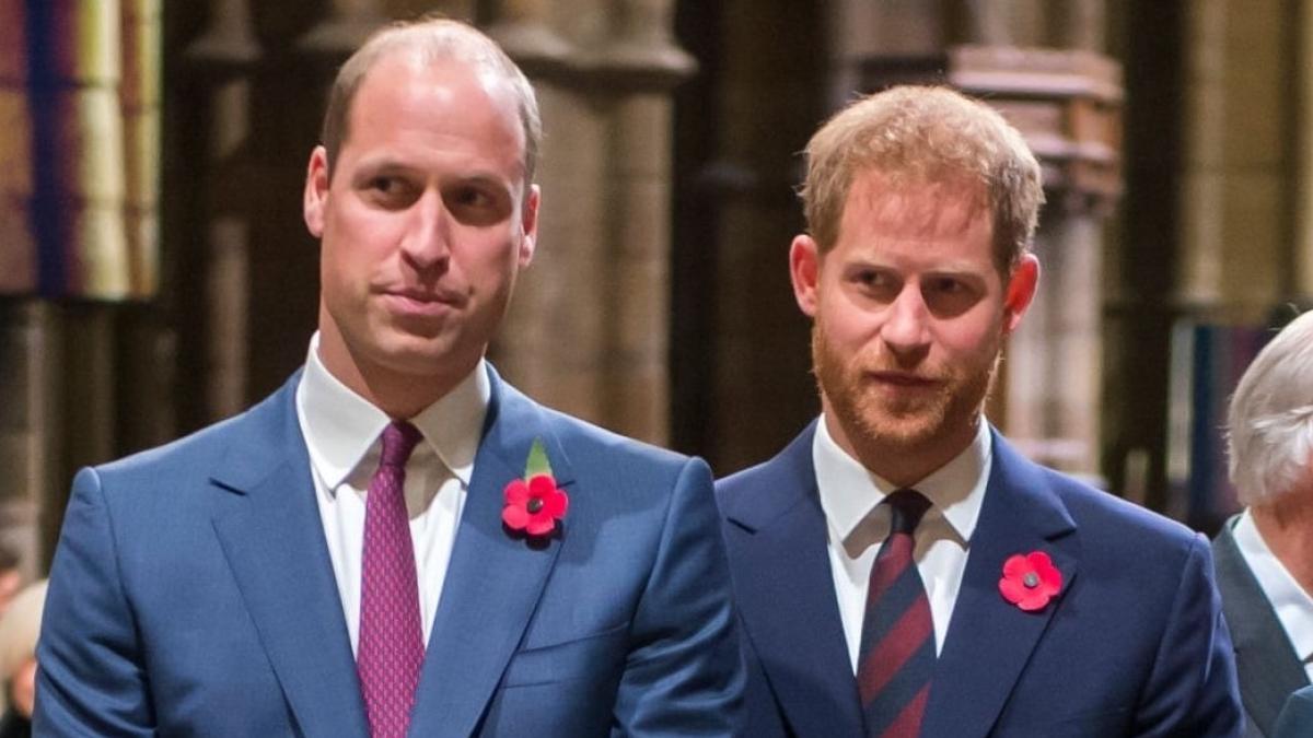 william-harry_80715100