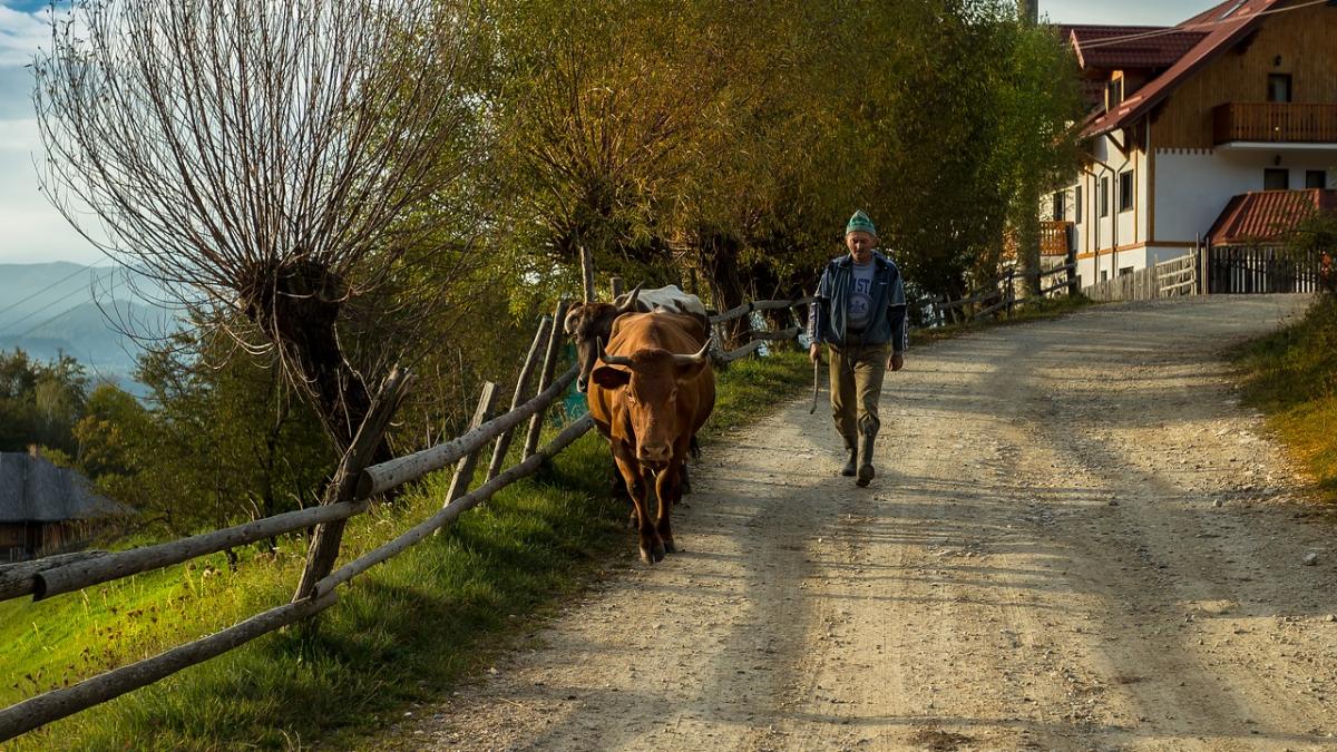 pastoral-2034810_1280_92268200