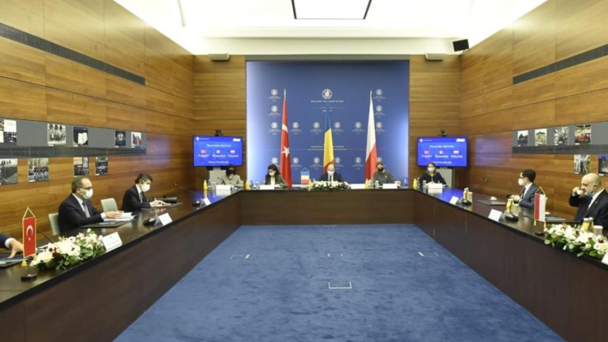 trilaterala_45466700