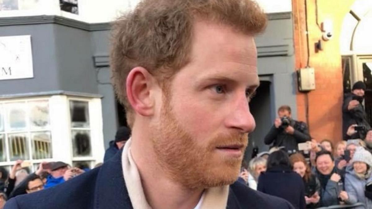 printul-harry_94643500