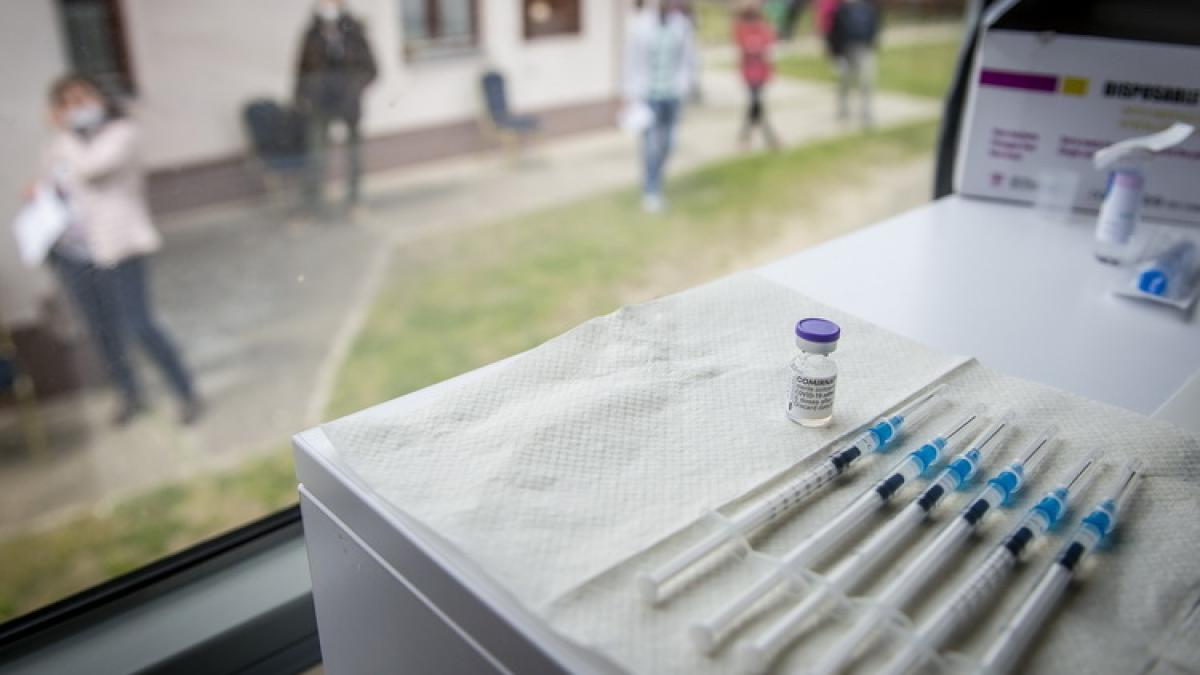 vaccinuri_resize_88388800