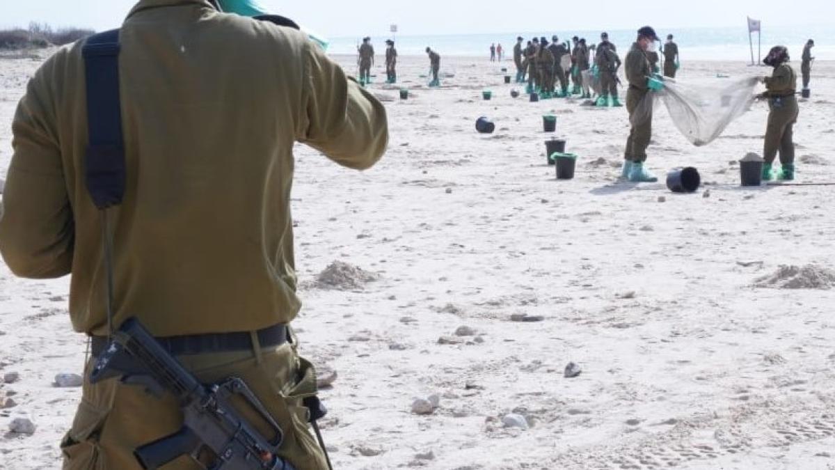 news_pictures_2021_tirat_karmel_clean_21354100