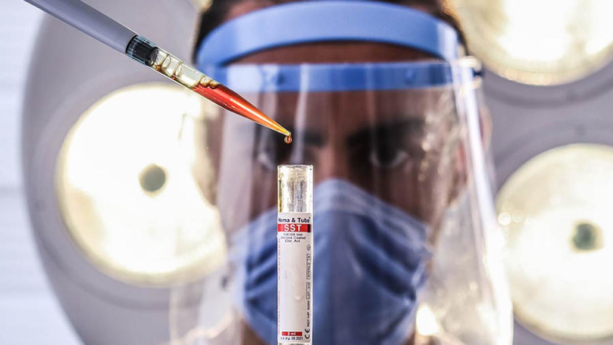 test-laborator_04501900