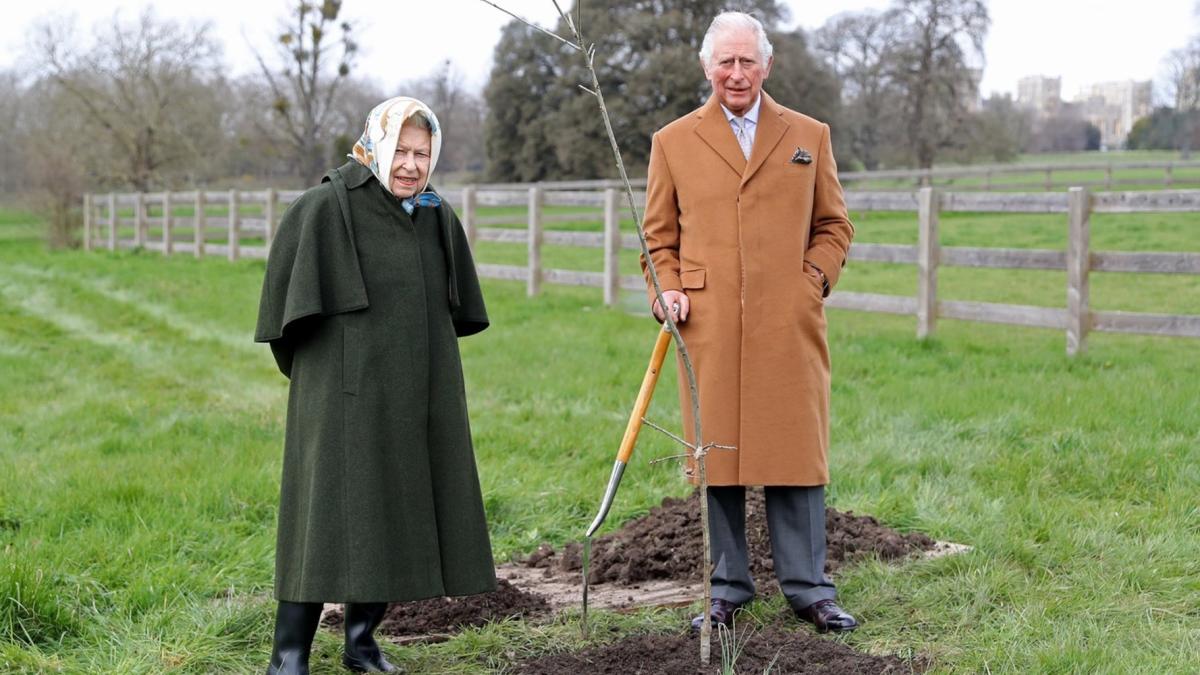 regina-planteaza_86901600