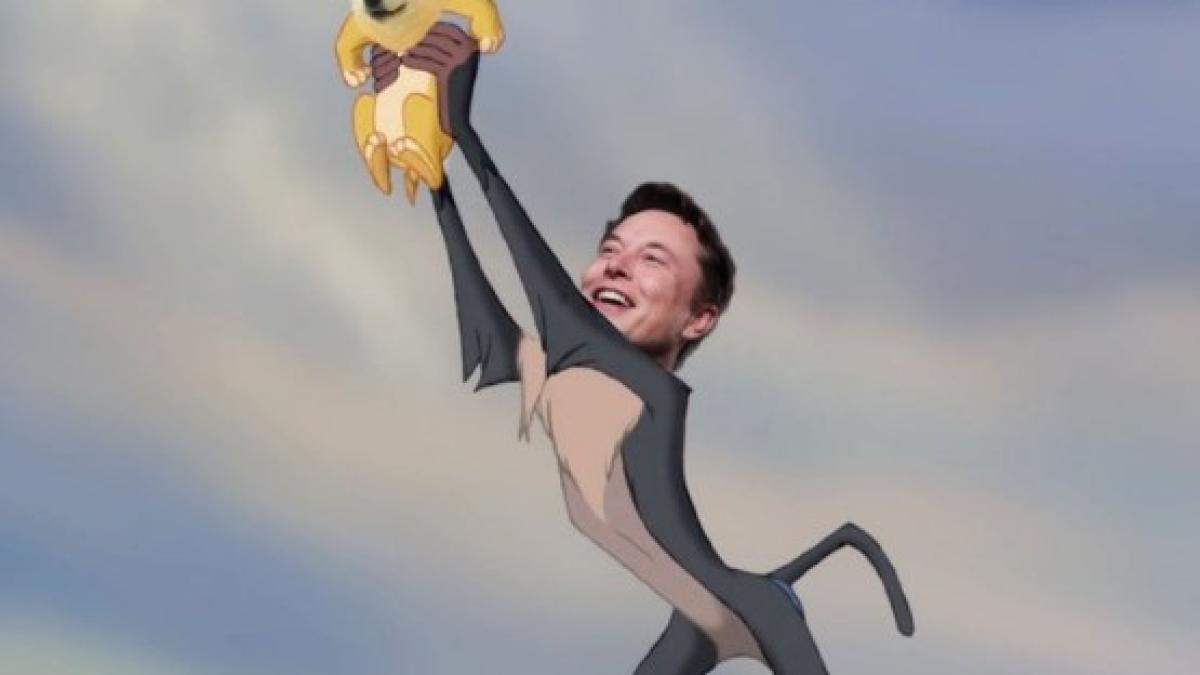 elon-musk---twitter_62012400