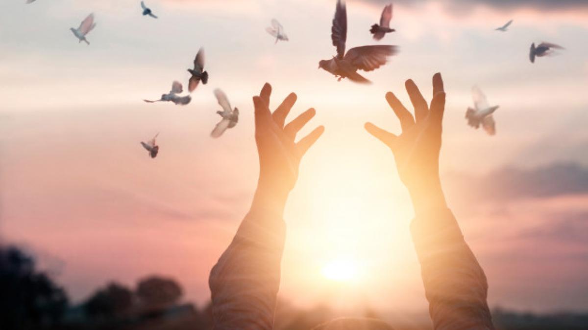 bilant-covid_43503200