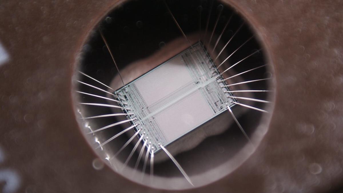 microcipuri_11784900