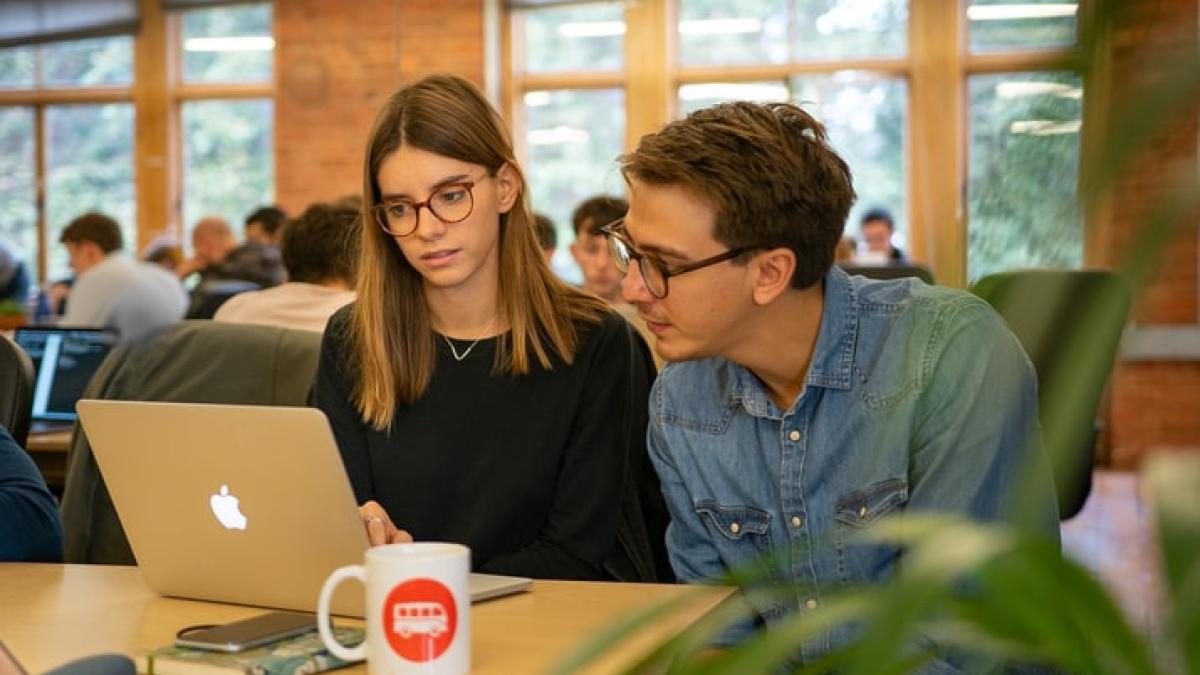 programator_20672400