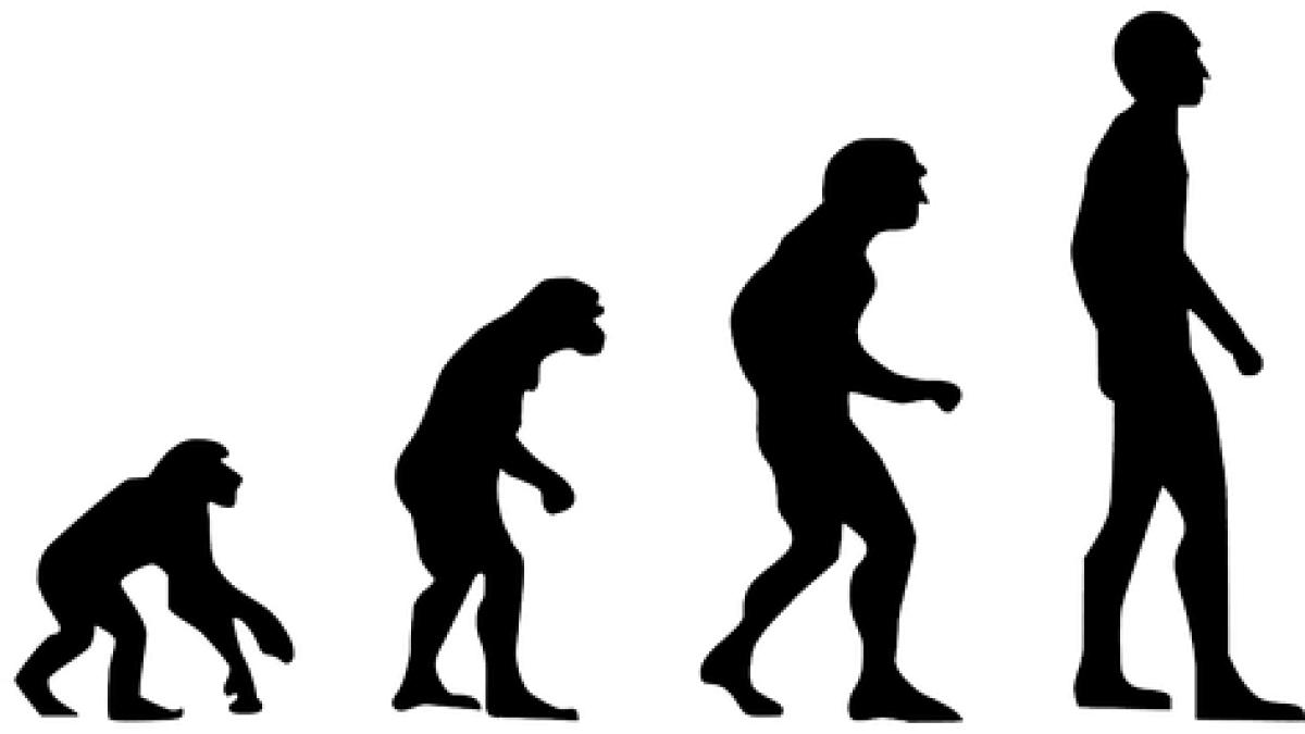 evolution-2780651_640_30370200