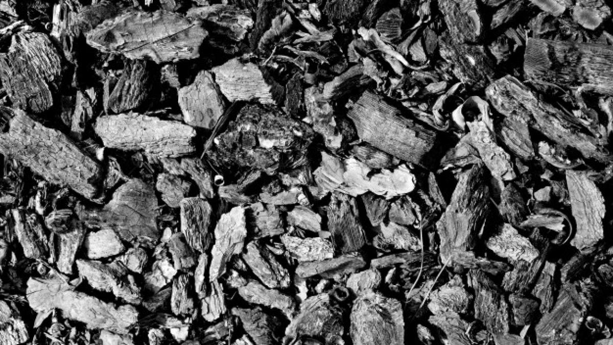 coal_pieces_texture_1194_5703_32171700