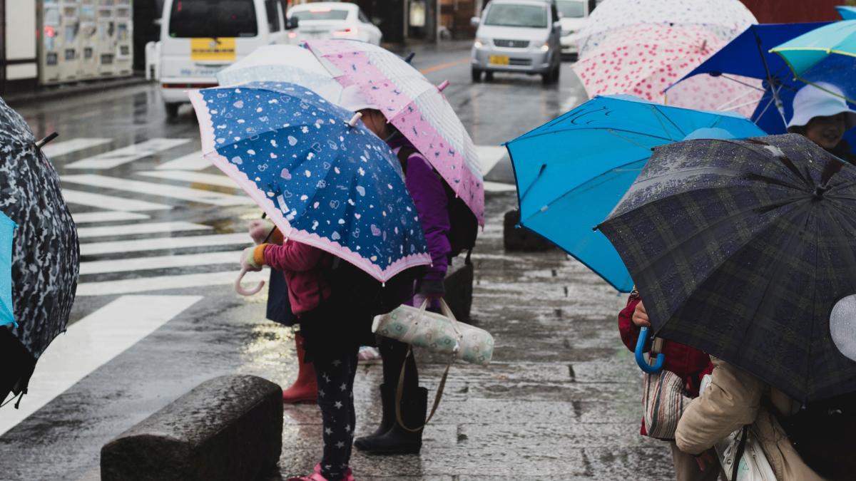 adrien-bruneau-ph2y6rkpjl4-unsplash_05415500