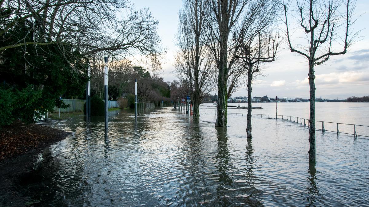 matthew-oxku1obqbd4-unsplash_84707400