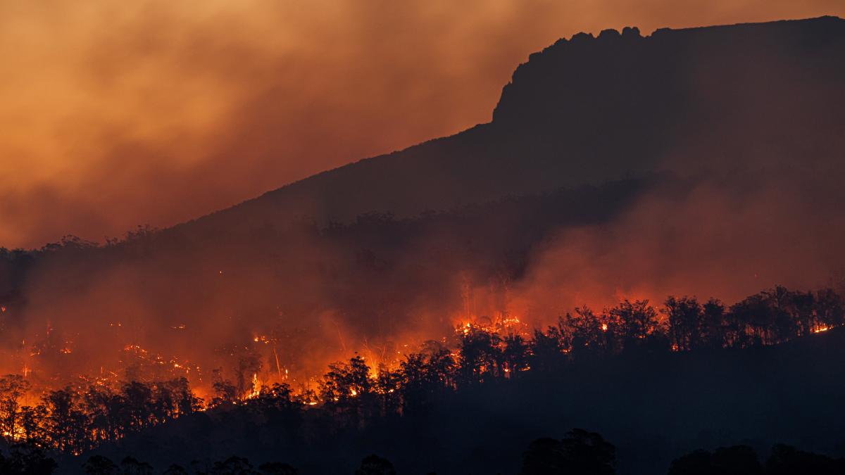 Prăpădul de pe lume! Vestul Canadei și California, pradă INCENDIILOR VIDEO