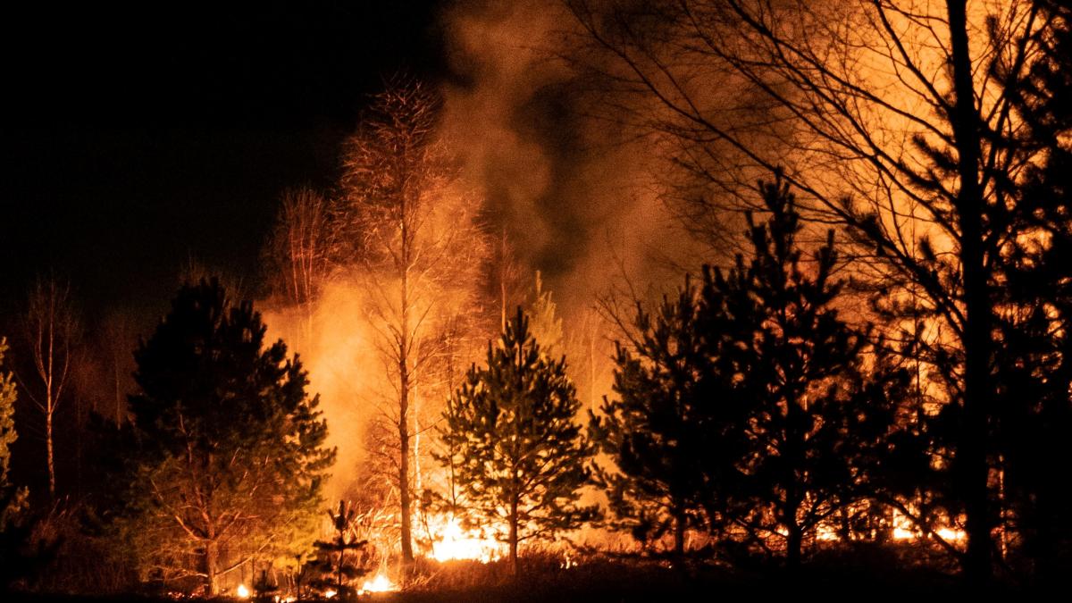 Incendiu devastator în Cipru. Patru morți. Toți, muncitori egipteni VIDEO