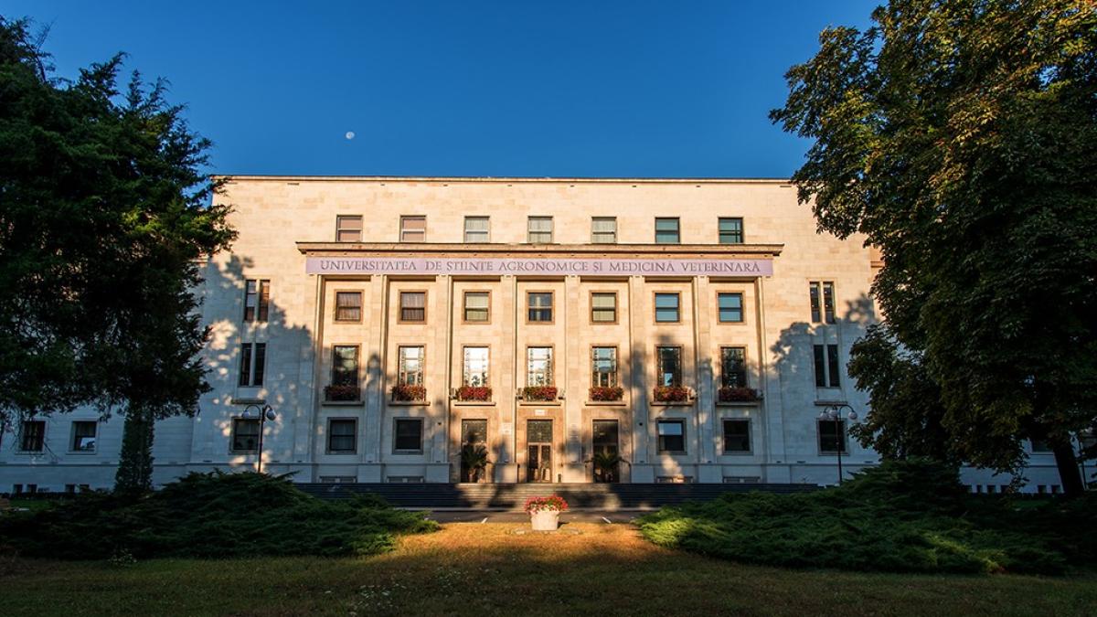 Burse de 720 de euro pentru studenții din USAMV. Cum se pot obține