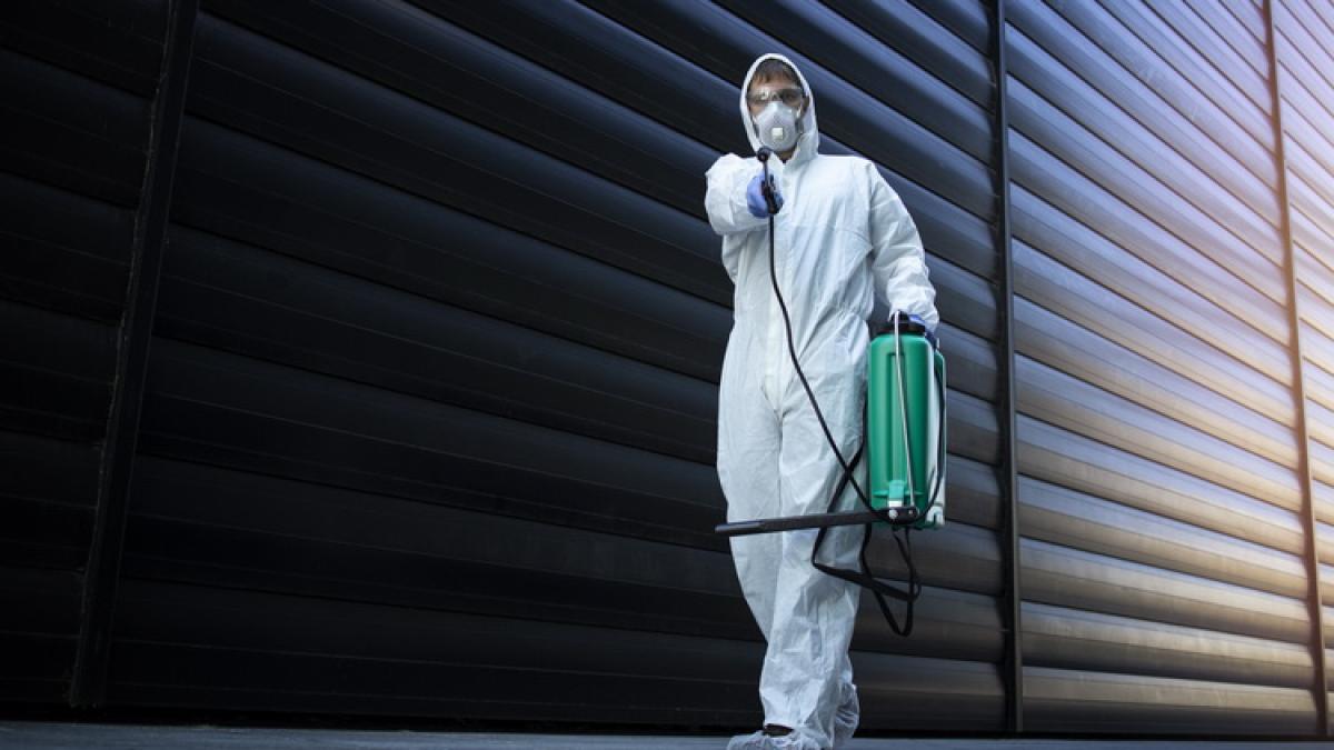 dezinsectie_resize_99343300