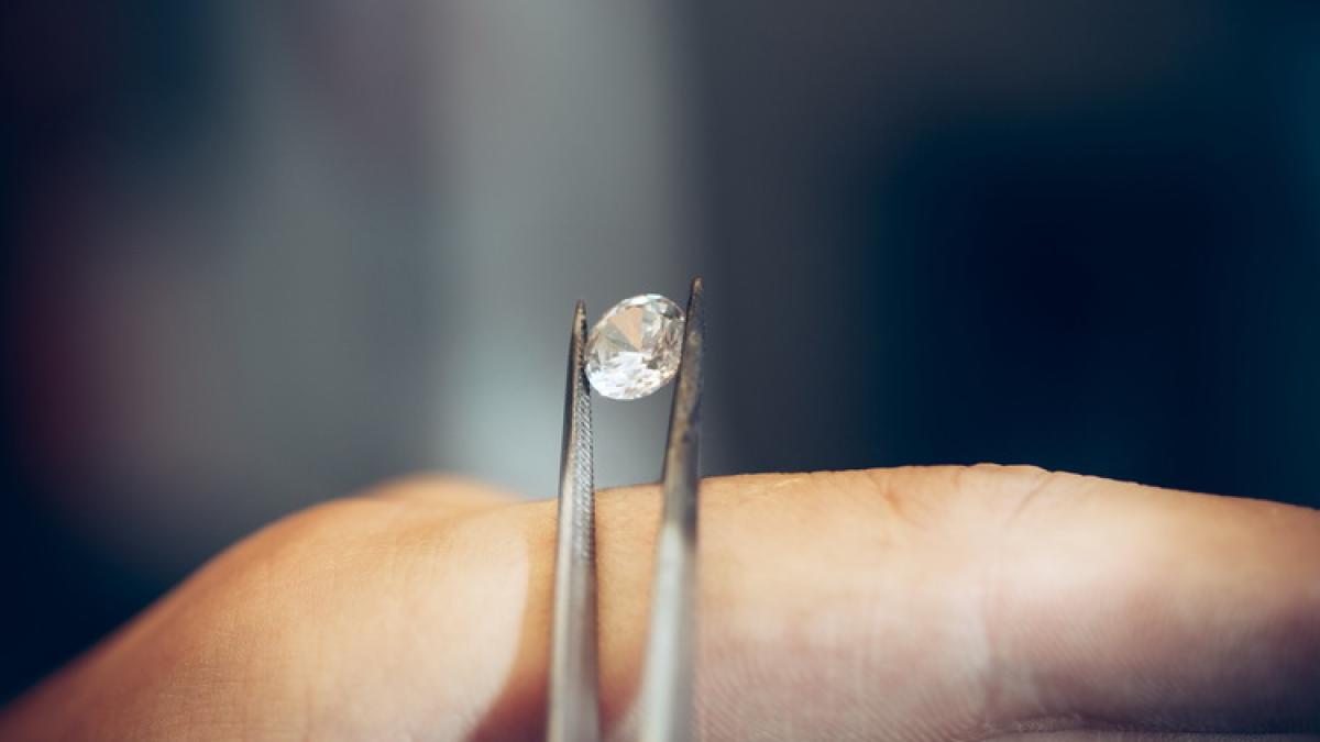 ACESTA este CEL MAI MIC hoț de DIAMANTE din lume VIDEO