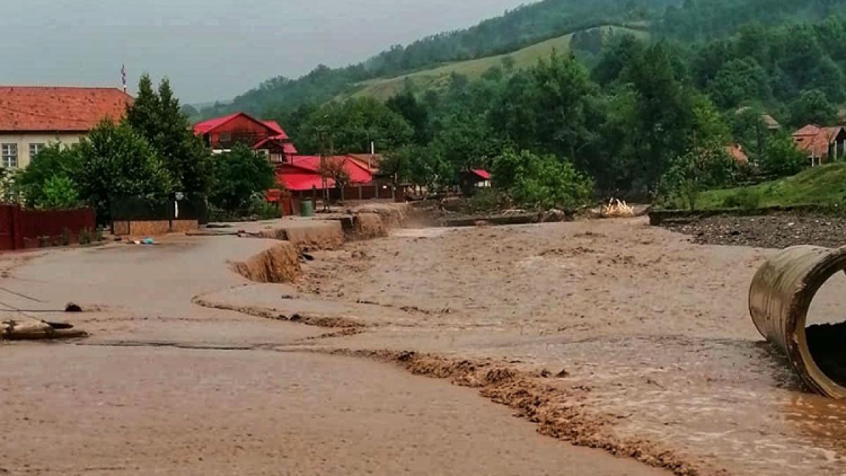 Județul Alba, măturat de vijelii și ploi torențiale VIDEO