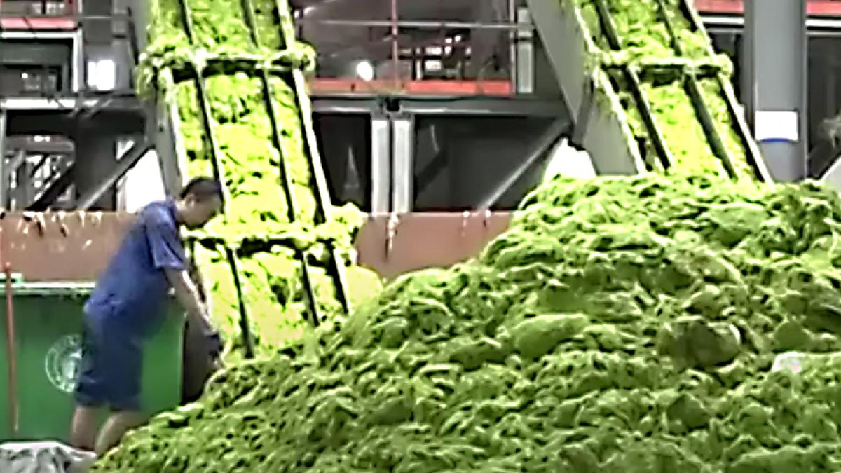 China. În portul Qingdao așa ceva nu a mai fost NICIODATĂ VIDEO