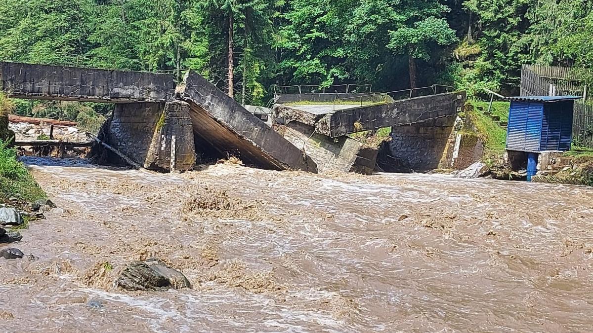 219761100_1317484031980250_634090204774085545_n_81028900