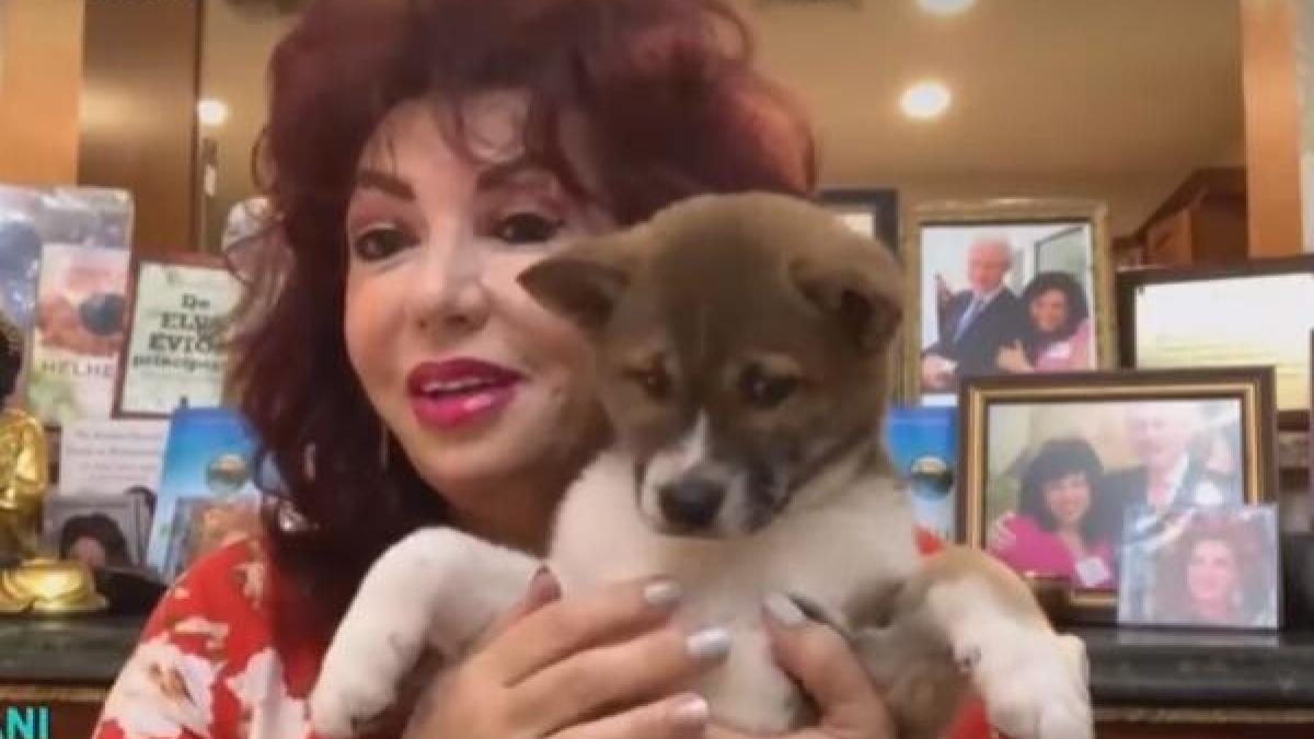 carmen-harra_01726500