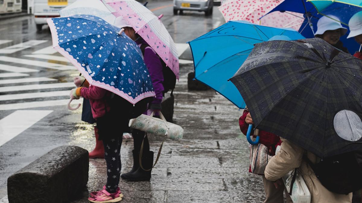 ploaie-umbrele_67474300