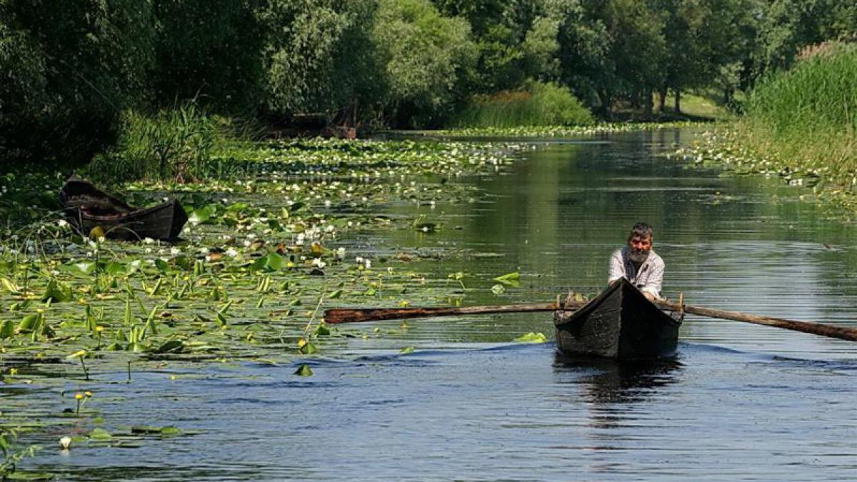 delta_dunarii_62212600